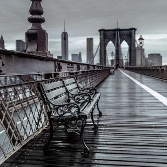 Bridge Beauty Canvas Art - Assaf Frank (24 x 24)