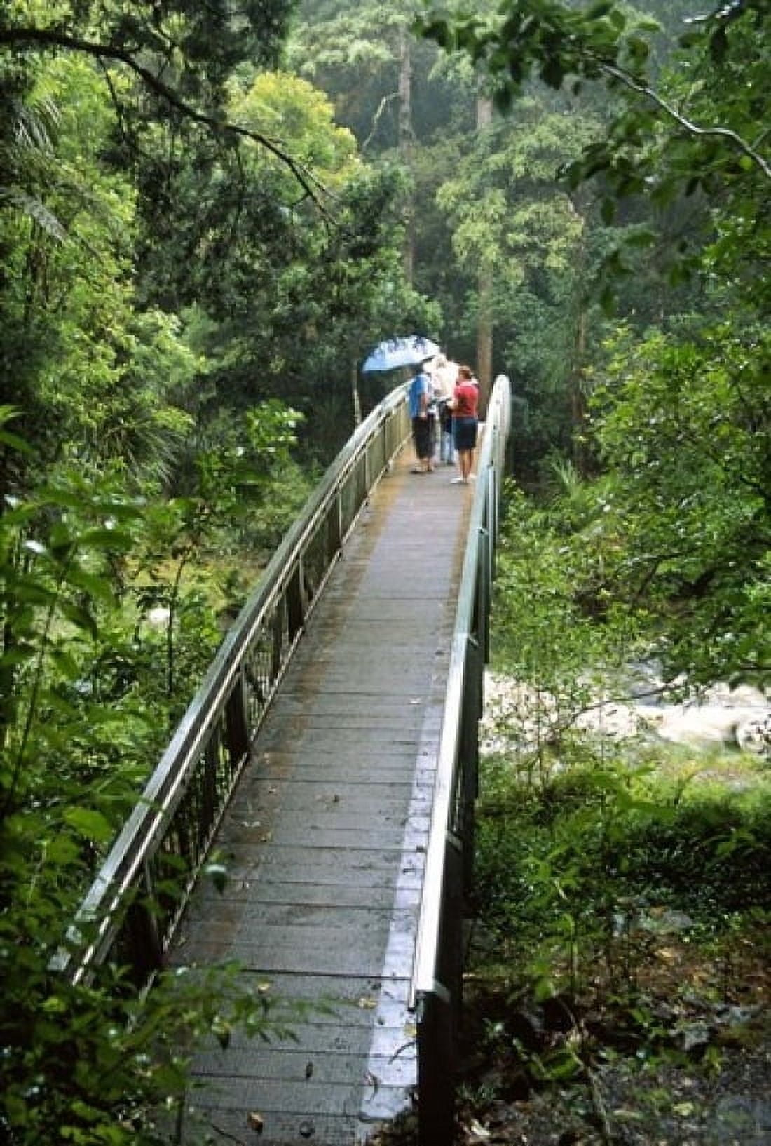 Bridge Below Whangarei Falls Northland New Zealand Canvas Art - David Wall DanitaDelimont (24 x 36)