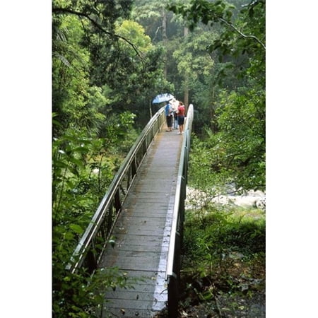 Bridge Below Whangarei Falls Northland New Zealand Poster Print by David Wall - 19 x 28 in.