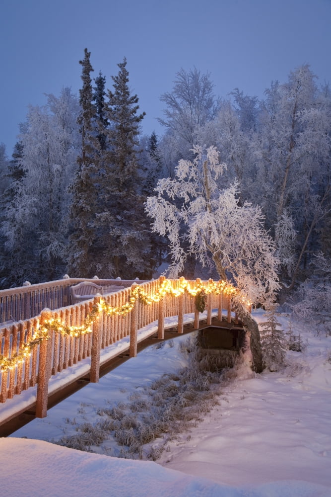 Bridge Decorated With Christmas Lights In A Forest Setting Southcentral Alaska Canvas Art - Jeff Schultz Design Pics (22 x 34)