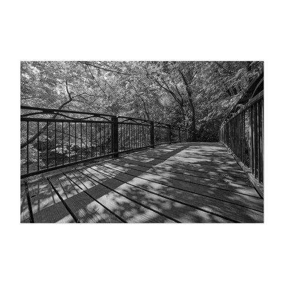 Bridge Over Minnehaha Creek at 14th Ave. - Photography Black and White Bridge Forest Nature Woodland Scenic Landscape Unframed Wall Art Print 40 x 60 inches