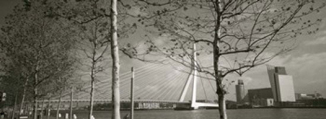 Bridge Over A River Erasmus Bridge Rotterdam Netherlands Canvas Art - Panoramic Images (18 x 7)