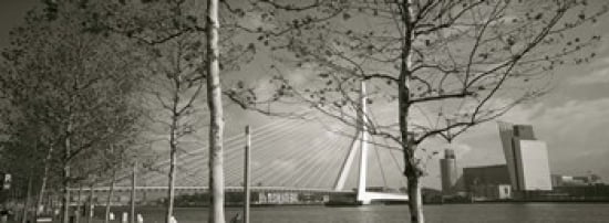 Bridge Over A River Erasmus Bridge Rotterdam Netherlands Canvas Art - Panoramic Images (36 x 13)