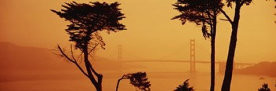 Bridge Over Water Golden Gate Bridge San Francisco California USA Canvas Art - Panoramic Images (36 x 12)