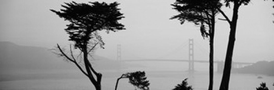Bridge Over Water Golden Gate Bridge San Francisco California USA Canvas Art - Panoramic Images (36 x 12)