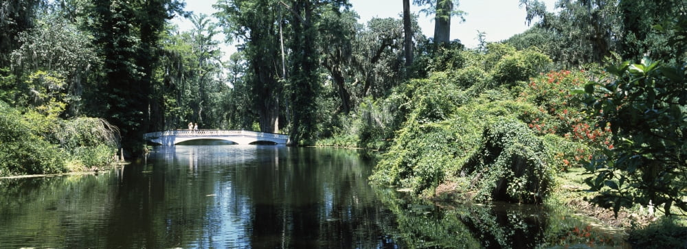 Bridge across a swamp Magnolia Plantation and Gardens Charleston Charleston County South Carolina USA Canvas Art - Panoramic Images (36 x 12)