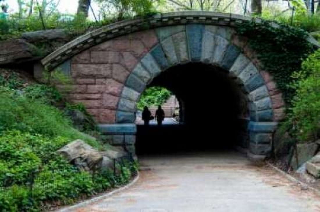 Bridge in Central Park Canvas Art - Erin Berzel (20 x 28)