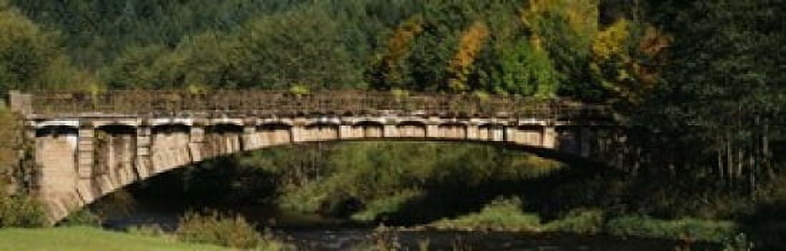 Bridge in a forest Black Forest Germany Canvas Art - Panoramic Images (18 x 6)