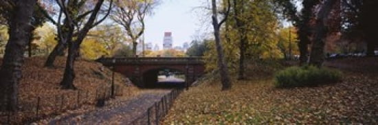 Bridge in a park Central Park Manhattan New York City New York State USA Canvas Art - Panoramic Images (36 x 12)
