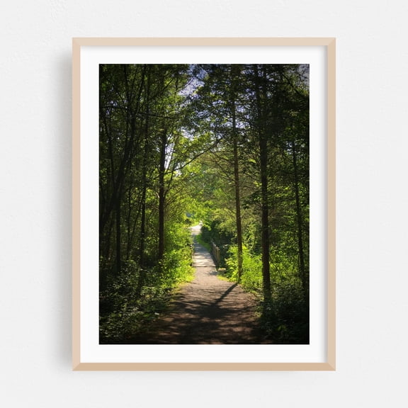 Bridge in the Forest - Ferrisburgh Vermont Photography Forest Nature Bridge Scenic Landscape Summer Oak Framed Wall Art Print 5 x 7 inches