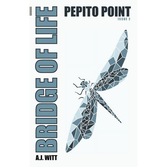 Bridge of Life: Bridge of Life: Pepito Point (Issue 2) (Paperback)