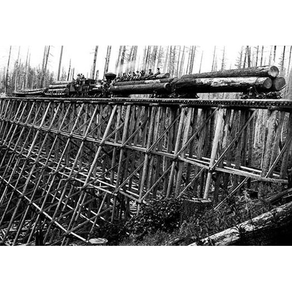 Bridge of Trees Poster Print by Darius Kinsey (24 x 36)