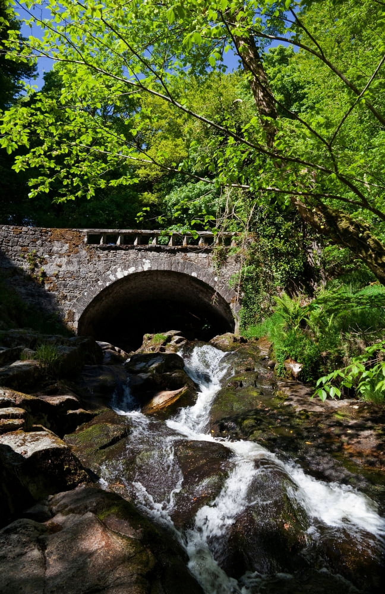 Bridge over the Shankhill River Near Clogleagh County Wicklow Ireland Canvas Art - Panoramic Images (27 x 9)