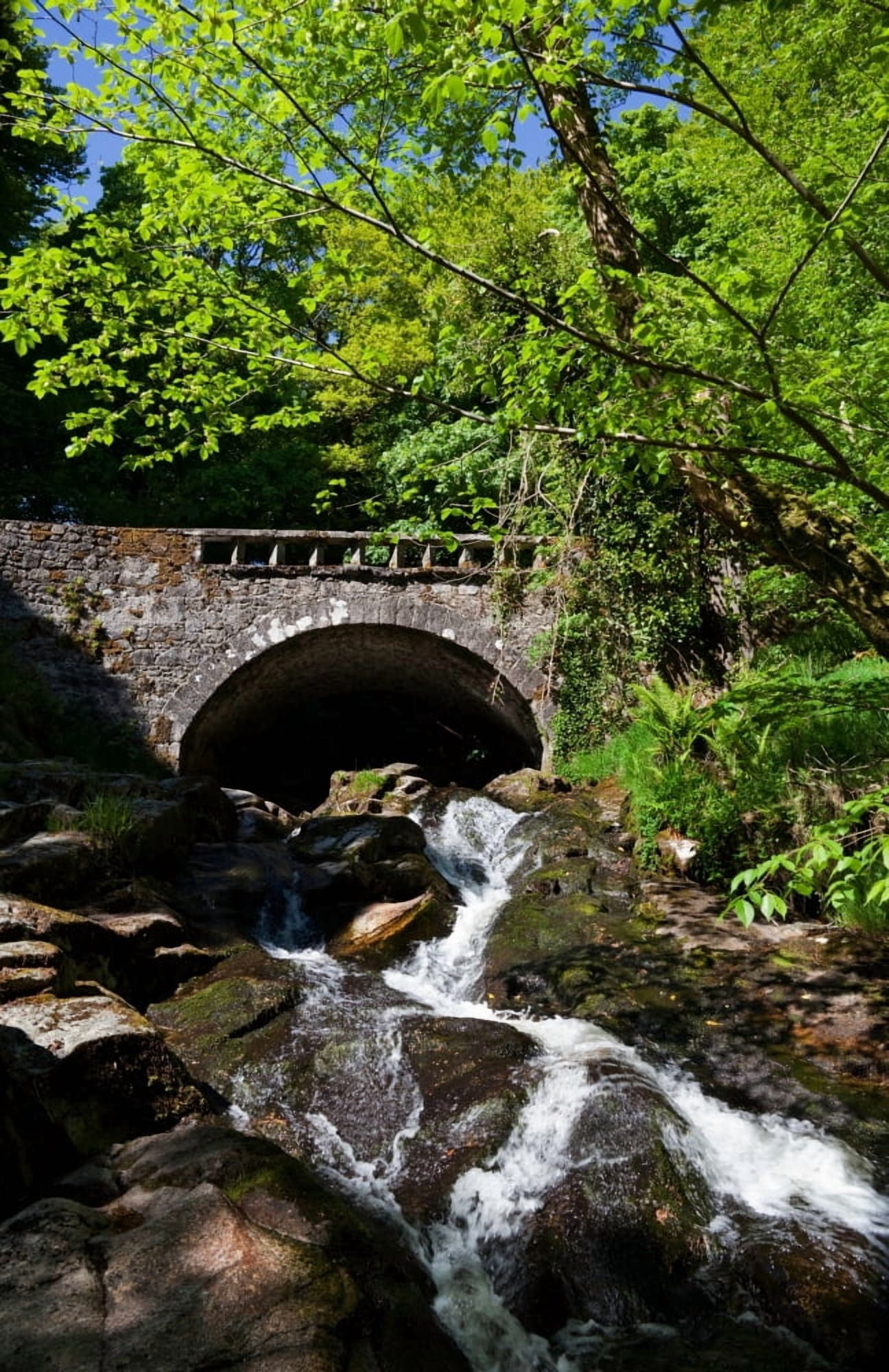 Bridge over the Shankhill River Near Clogleagh County Wicklow Ireland Canvas Art - Panoramic Images (36 x 12)