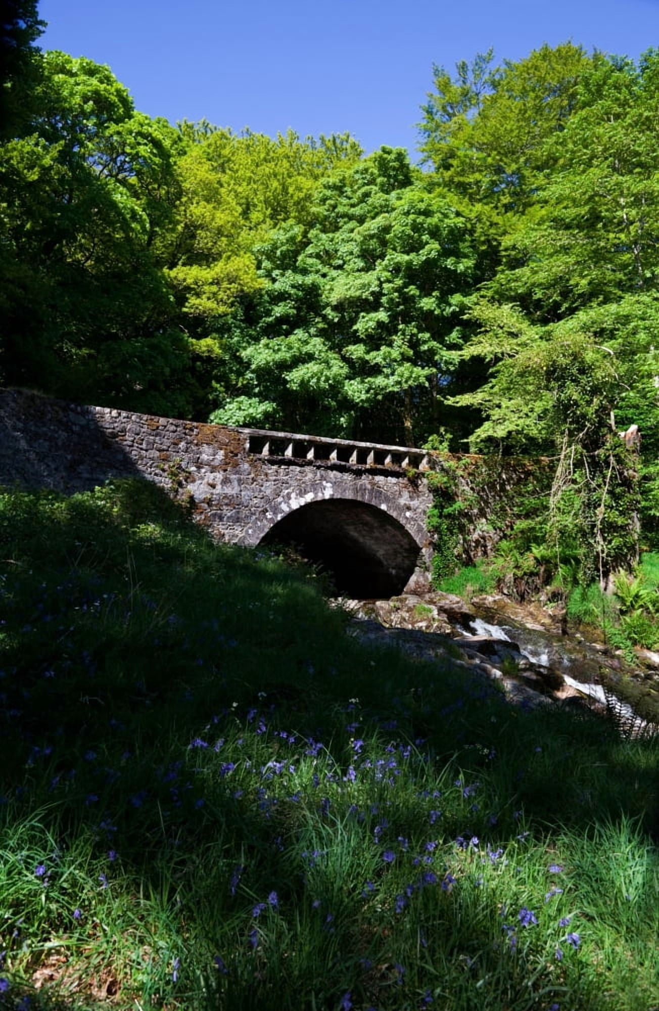 Bridge over the Shankhill River Near Clogleagh County Wicklow Ireland Canvas Art - Panoramic Images (36 x 24)