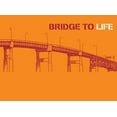 thumbnail image 1 of Bridge to Life (orange) 25-pack (Other), 1 of 1