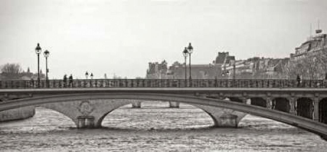 Bridges of Paris II Canvas Art - Rita Crane (24 x 48)