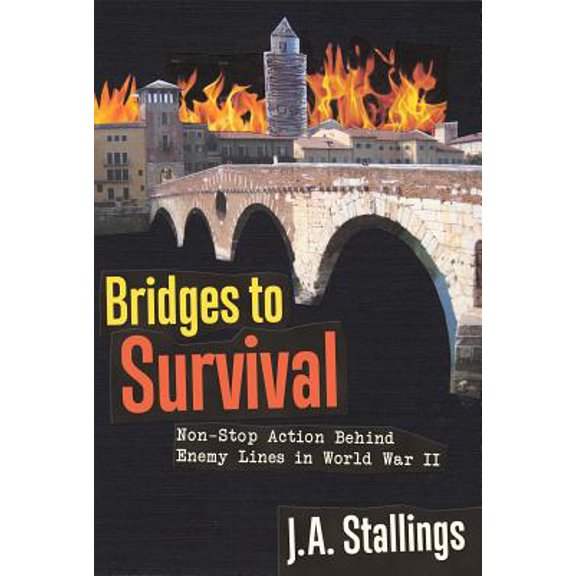 Pre-Owned Bridges to Survival (Edition 1) (Paperback)