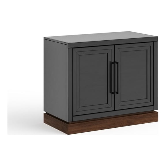Bridgevine Home NoraTwo-Door Storage Cabinet with Painted Finish
