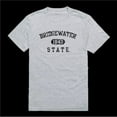 thumbnail image 1 of Bridgewater State University Bears Distressed Arch College T-Shirt, Heather Grey - Small, 1 of 1