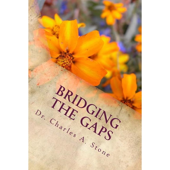 Bridging The Gaps: Observations That Delight Players (Paperback)