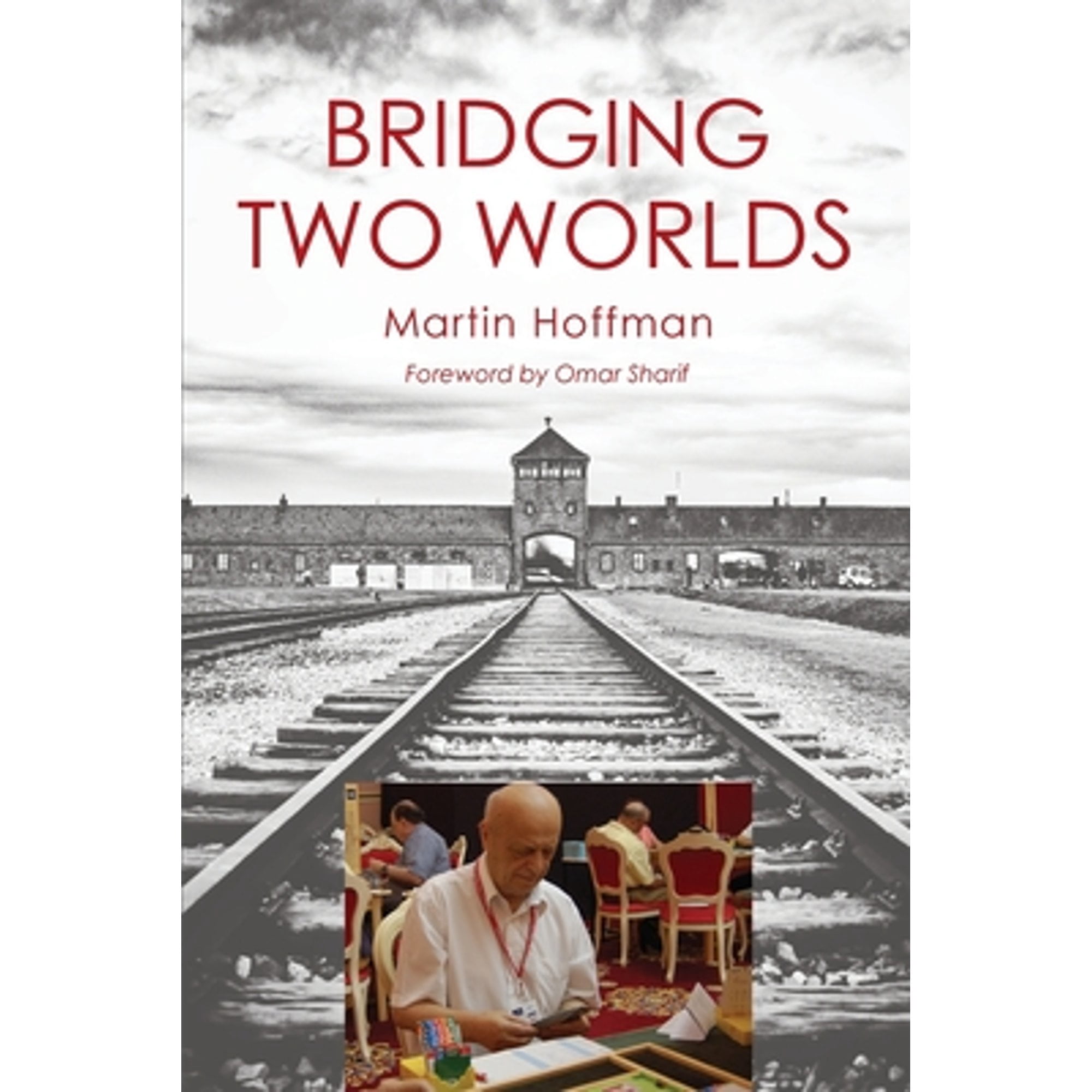 Bridging Two Worlds (Paperback) - Walmart.com