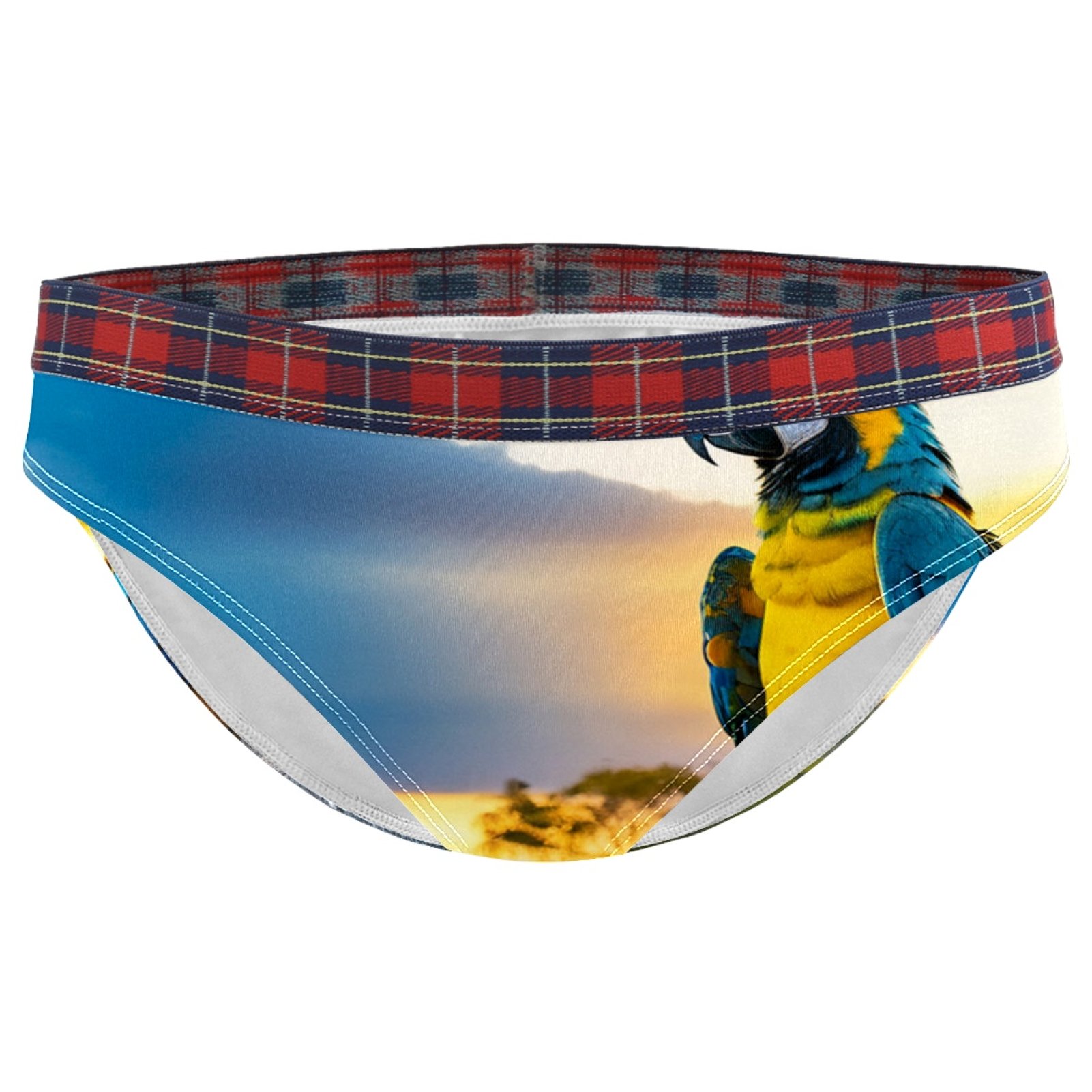 Brief Underwear Bikini Panties for Women Bikini Underwear S Macaw