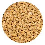 Briess 2-Row Pale Ale Malt 50 lb Crushed