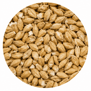 Briess 2-Row Pale Ale Malt 50 lb Crushed