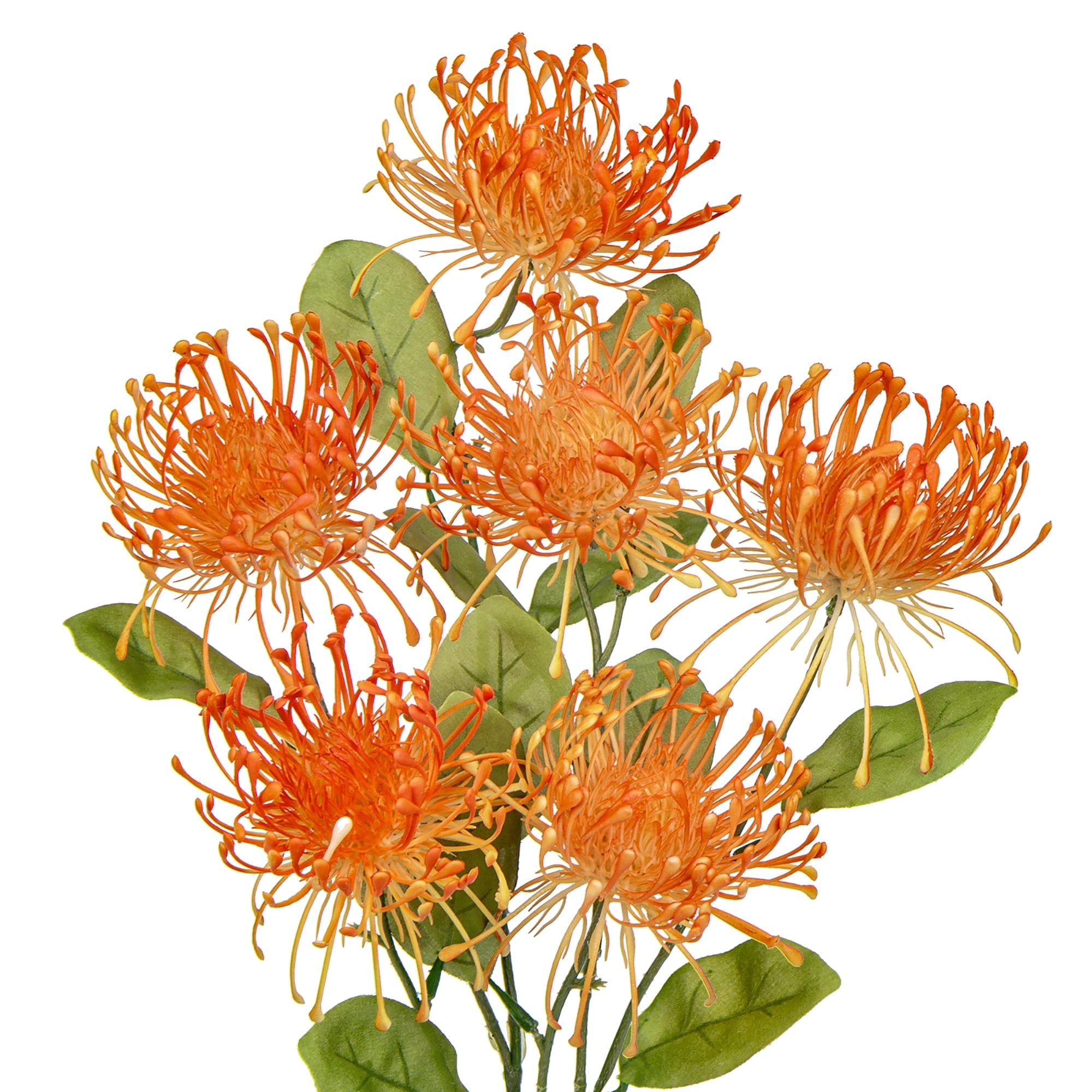 flower seed catalog PDXC1564 -- Flower Seed Catalogs