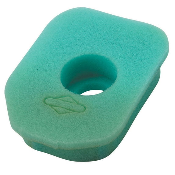 Briggs & Stratton Genuine OEM 270848 Air Filter