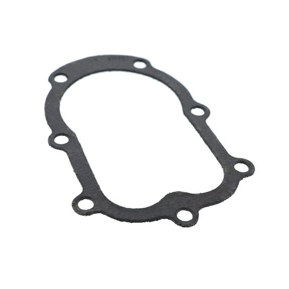 Briggs & Stratton Cylinder Head Gasket | 27752