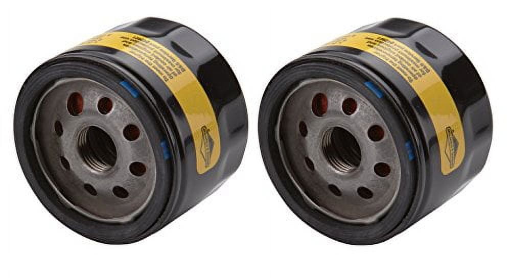 Briggs \u0026 Stratton 842921 Genuine Motor Oil Filter 2 Pack