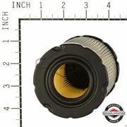 Briggs & Stratton Air Filter 793569 Fits Single Cylinder 20-21 HP Engines