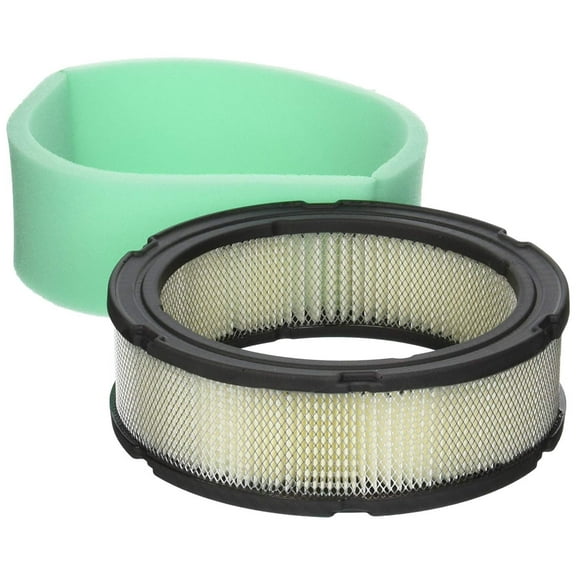 Briggs & Stratton Air Filter Cartridge/Pre-Cleaner 12.5 - 20 HP 5050K