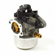 Briggs & Stratton Carburetor | 595390
