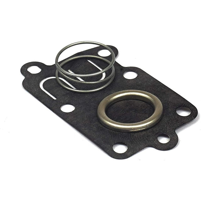 Briggs & Stratton Diaphragm Kit 5021K