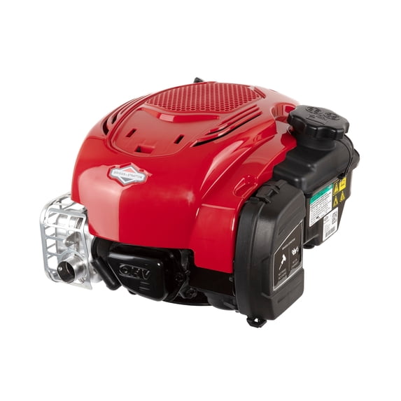 Briggs & Stratton Durable Small Engines with Motor Power, Steel Gray