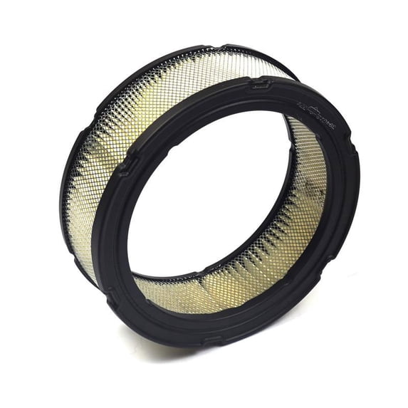 Briggs & Stratton Filter-A/C Cartridge 394018S