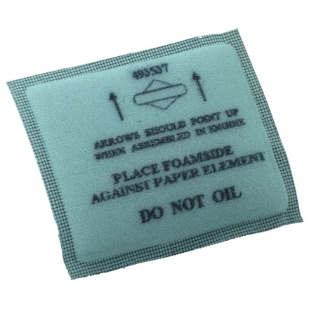 Briggs & Stratton Filter-A/C Foam 493537S price history and forecast - Briggs & Stratton 493537S