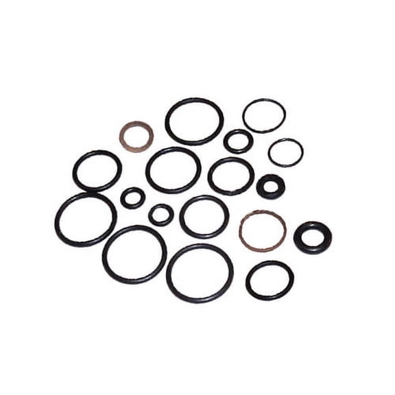 Briggs & Stratton Genuine 198847GS KIT O-RING Replacement Part