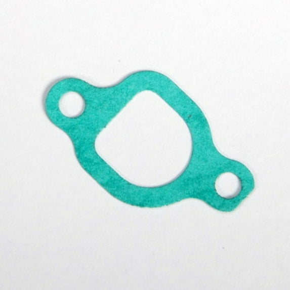 Briggs & Stratton Genuine 797192 GASKET-INTAKE Replacement Part
