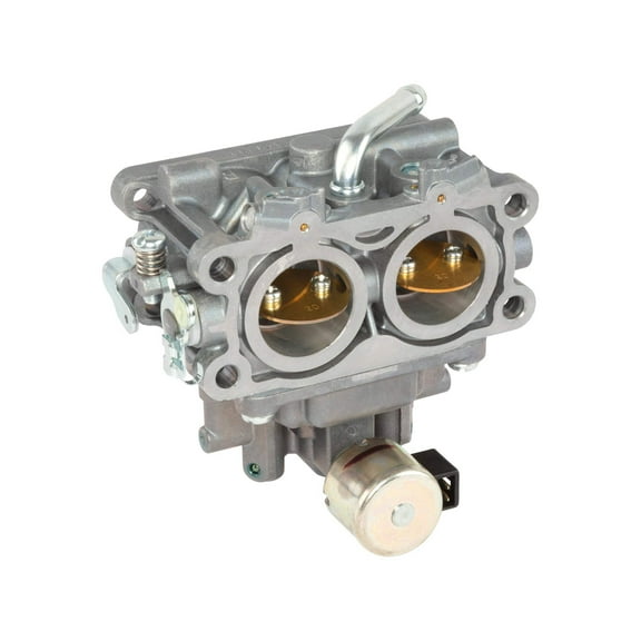 Briggs & Stratton Carburetor | 845587