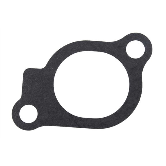 Briggs & Stratton Intake Gasket | 847671