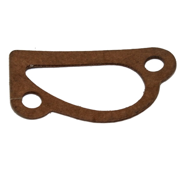 Briggs & Stratton Genuine OEM 270254 Gasket
