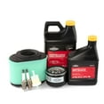 thumbnail image 1 of Briggs & Stratton Genuine 84002317 PROFESSIONAL SERIES TUNEUP KIT, 1 of 2