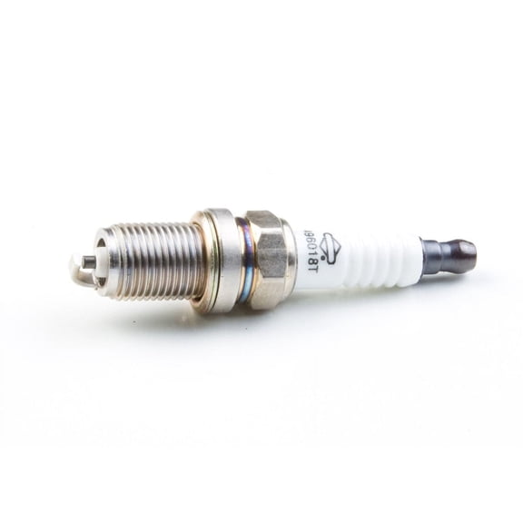 Briggs & Stratton Midwest Engine Warehouse 5066K OH Spark Plug, Platinum