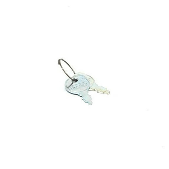 Briggs & Stratton Keys & Ring | 020729MA