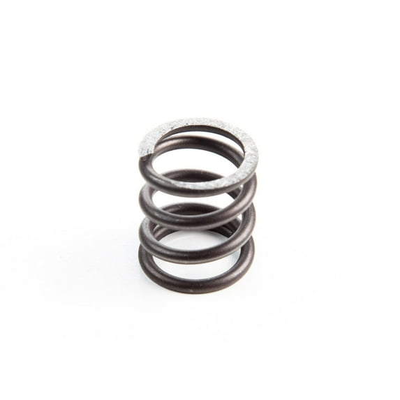 Briggs & Stratton Valve Spring | 26826