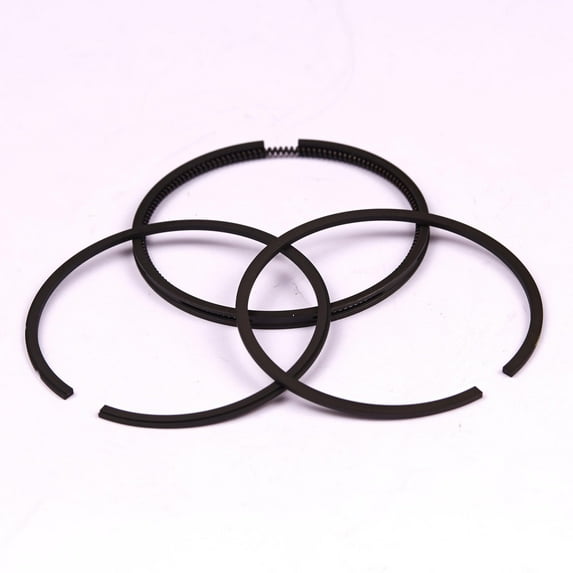 Briggs & Stratton OEM 493261 Ring Set-Std